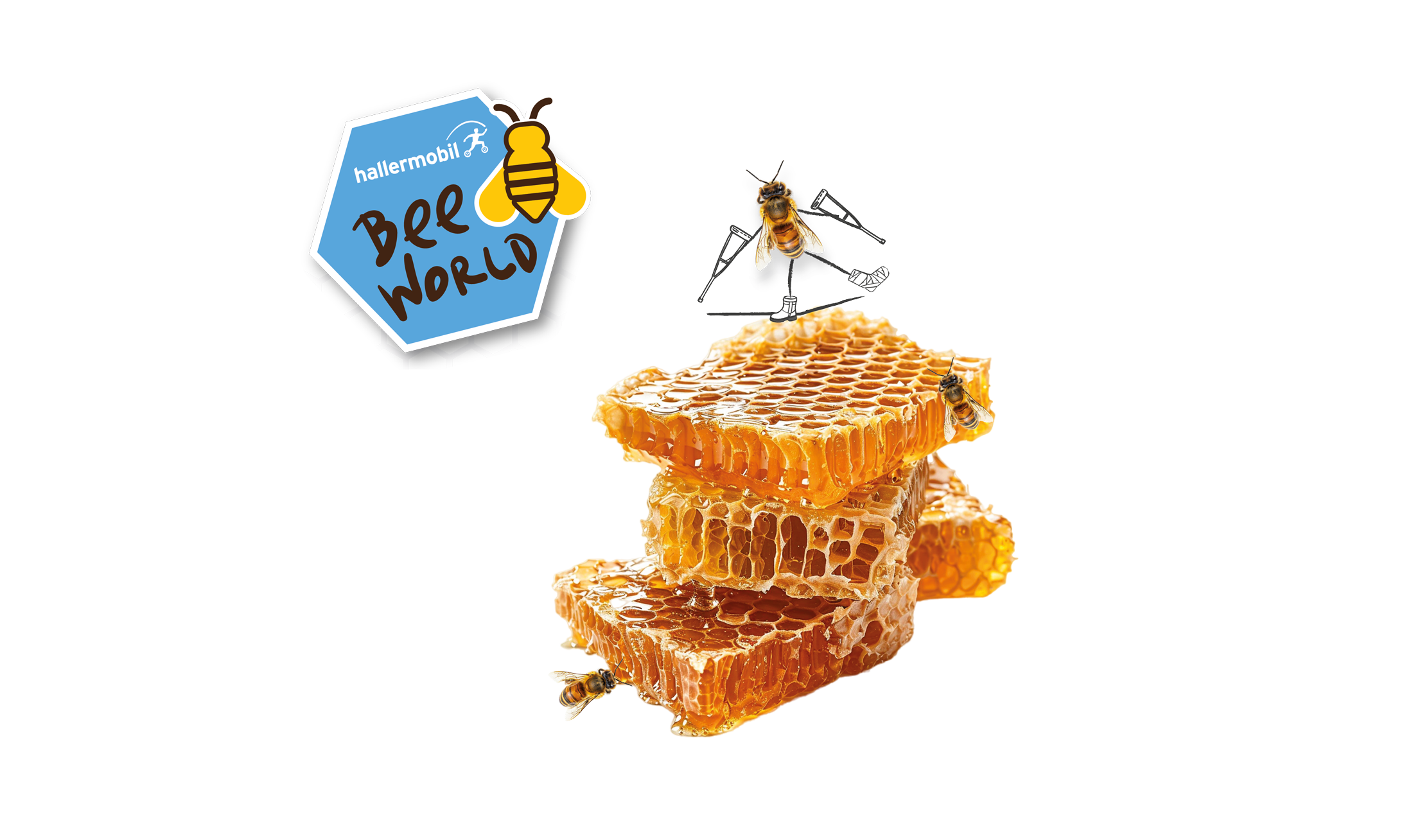 hallermobil Bee World (Bienenwelt)