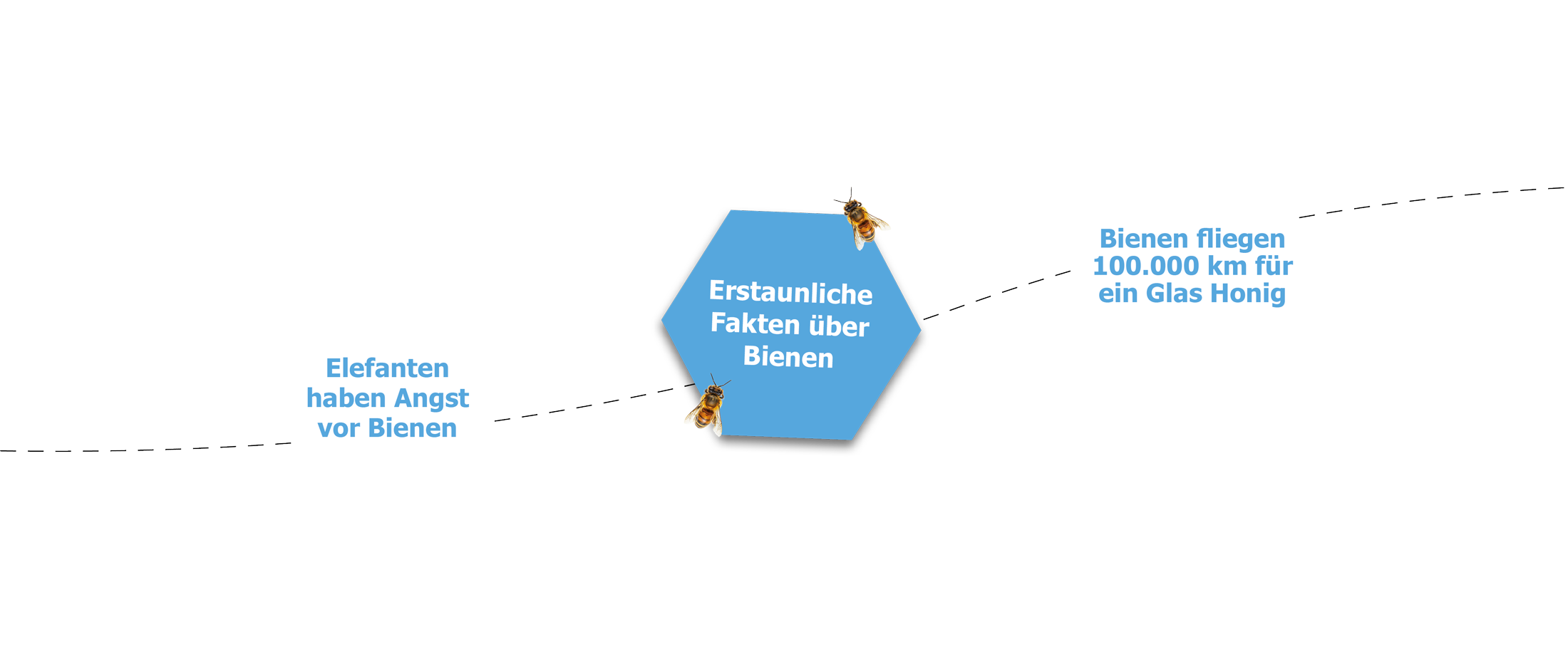 Fakten über Bienen